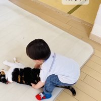 保護猫を移動させる男の子
