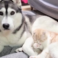 くつろぐふたり