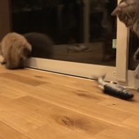 2足立ち