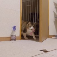 ドアの向こうから