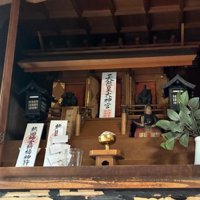 神棚にいる猫