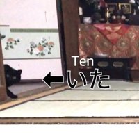 扉の陰に身をひそめる黒猫