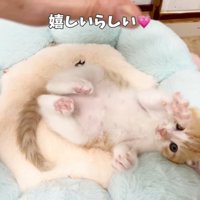 嬉しいらしい
