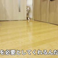 ドアの隙間から