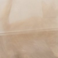 猫の残像（さらにアップ）