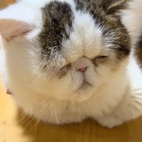 寝た