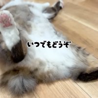 いつでもどうぞ