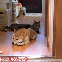 あー怖かった