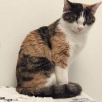 1歳のよもぎちゃん