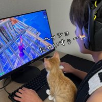 子供と一緒にゲームを見ている猫