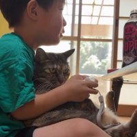 ゲームをしている男の子と猫