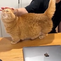 手に頭突き