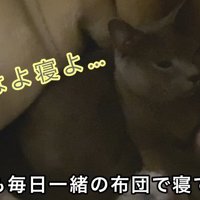 はよ寝よ…