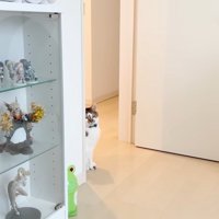 部屋の入り口から