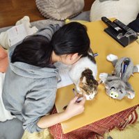 猫吸いをする女の子