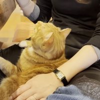 見上げる後ろ姿