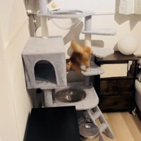キャットタワーで足を踏み外しそうになるミヌエット