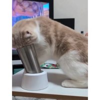 猫とタンブラー
