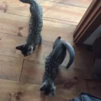 出てきたふたり