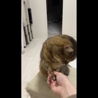 おかわりしている写真