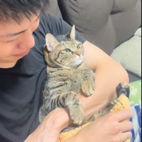 人に抱かれている猫