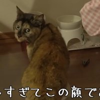 嬉しすぎて