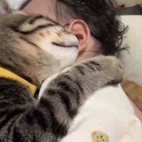 眠る赤ちゃんと子猫