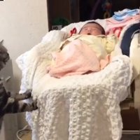 スウィングチェアに乗る赤ちゃん