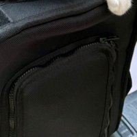 黒いキャリーバッグと猫の手