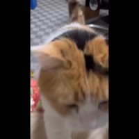 超接近