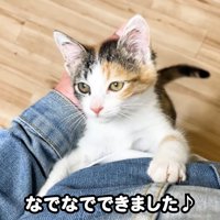 テロップ「なでなでできました」