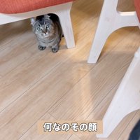 何なのその顔