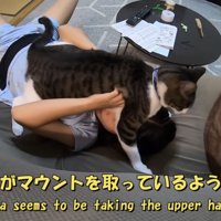 「ハナがマウントを...」のテロップ写真