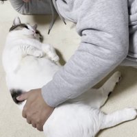 目線を合わせて