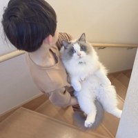 3年前と同じように、猫を抱き抱えながら階段を降りていく男の子