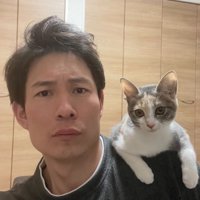 大きくなった子猫