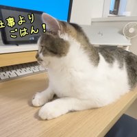 仕事よりごはん！