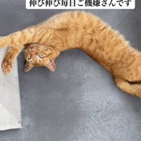 「今の金太...」のテロップ写真