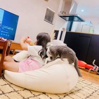 娘さんに甘えるブリティッシュショートヘア