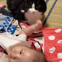 手を持ち上げる赤ちゃん