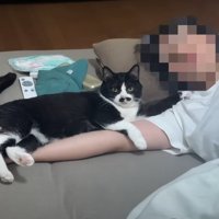 寝ている人にくっつく猫