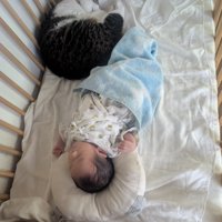 赤ちゃんの足元で眠る猫