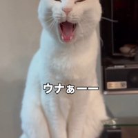 「ウナぁーー」と書かれた写真
