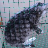 横たわる姿のアップ