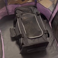 キャリーバッグの中にいる子猫