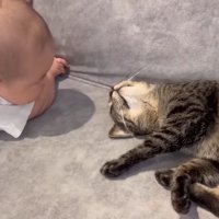 見つめ合うふたり