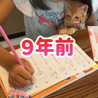 宿題をする女の子と子猫