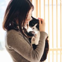 抱っこされる猫