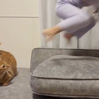 見上げる姿