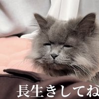 「長生きしてね」のテロップ写真3
